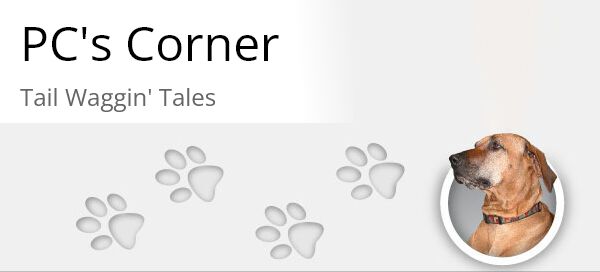 Welcome to Tail Waggin' Tales